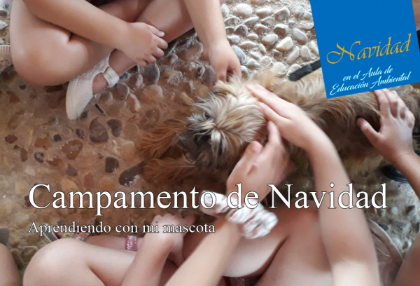 Campamento de Navidad: aprendiendo con mi mascota.