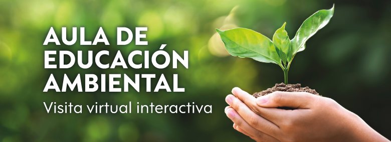 Visita Virtual Interactiva