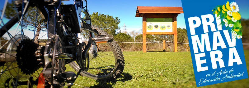 Rutas temáticas en bicicleta eléctrica