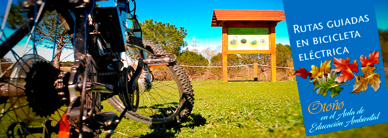 Rutas temáticas en bicicleta eléctrica con MLO