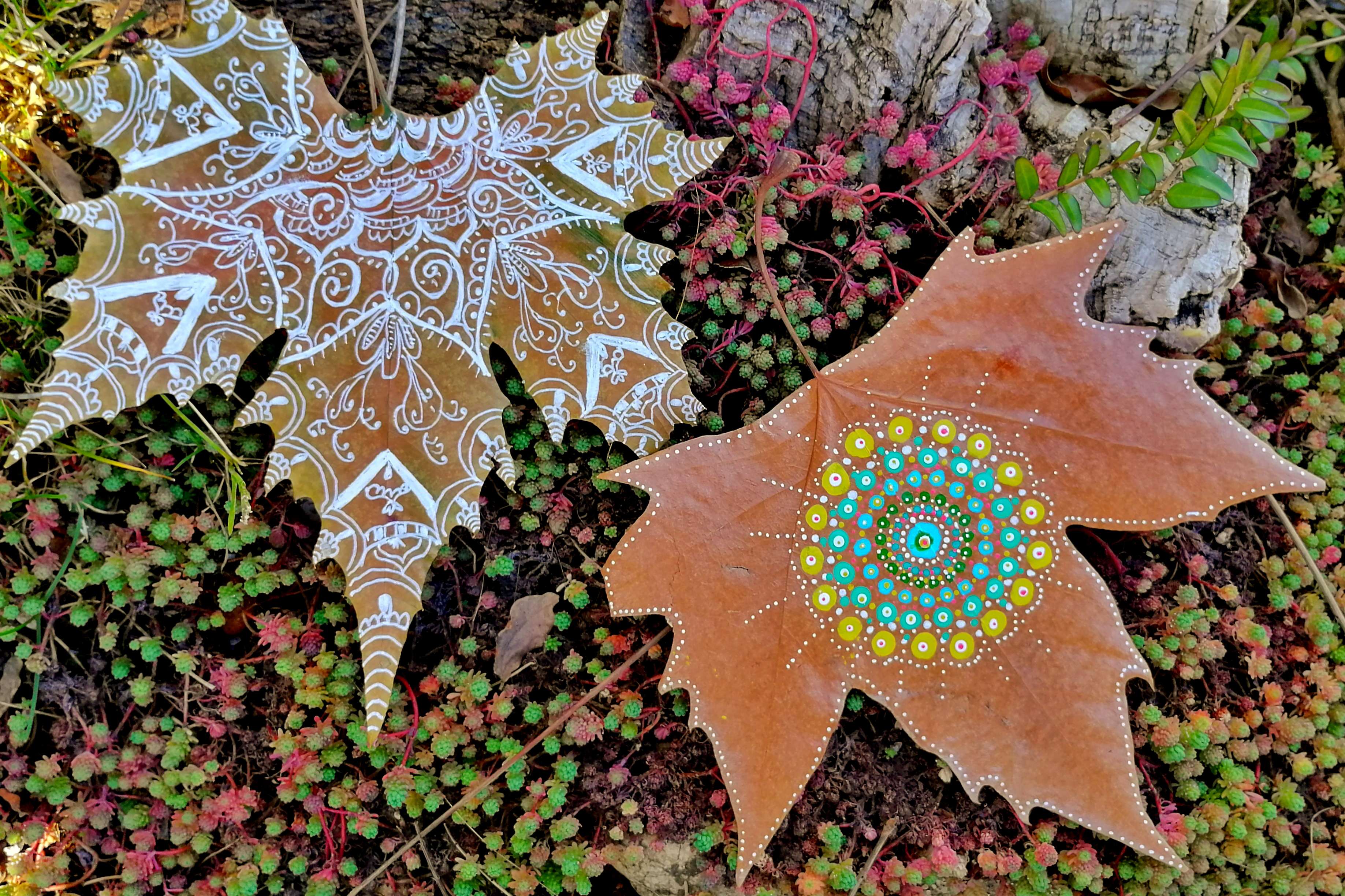 Mandalas vegetales: Reciclaje personal y restauración.