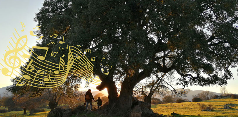 Concierto de cuerda “Inauguración de la Primavera”. Paseo entre árboles singulares clonados con realidad virtual.