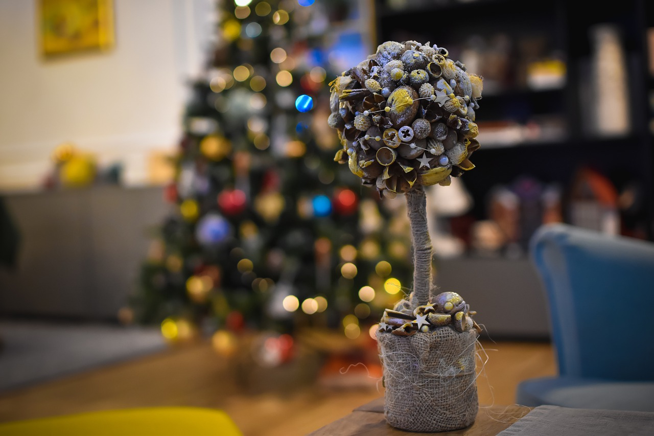 Recolección de elementos de la naturaleza para nuestro árbol de navidad