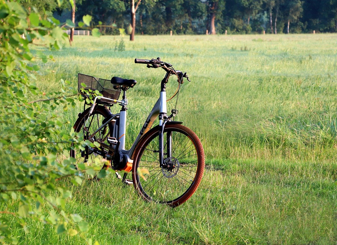Senda en bici eléctrica por el Parque Forestal Adolfo Suarez