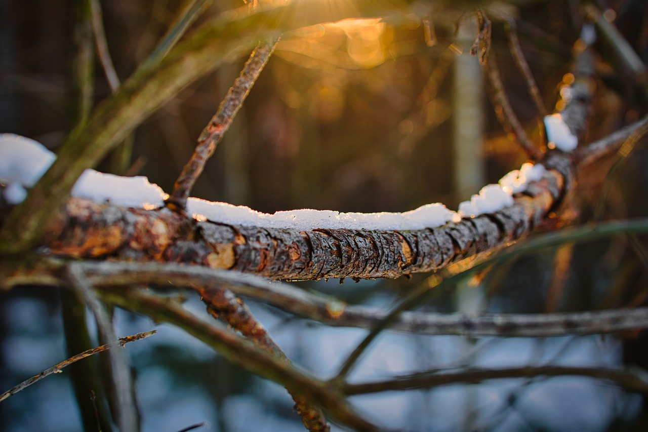 Paseo hibernal para descubrir los secretos del Aula de Educación Ambiental