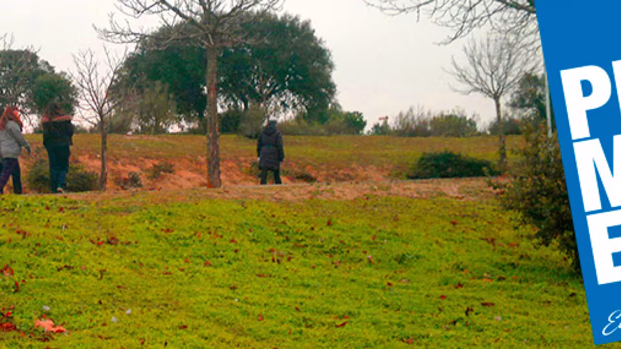 Grupo de personas caminando por un sendero en un parque natural
