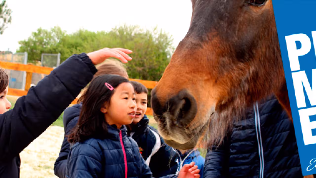 Niños con caballo