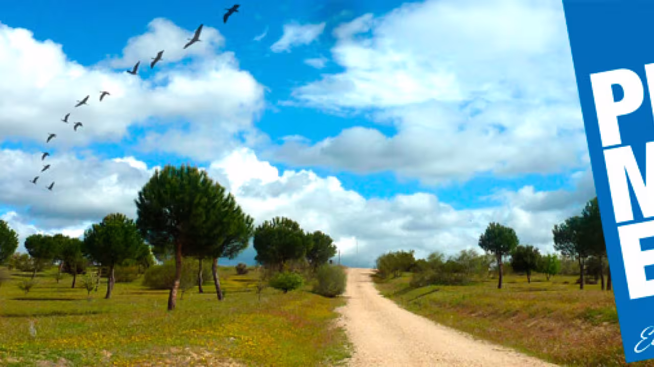 Paisaje natural