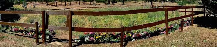 Foto campo
