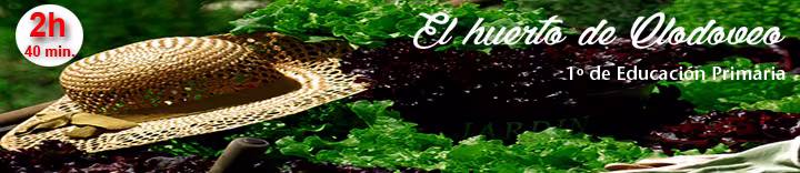 Banner Clodoveo