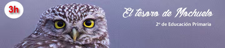 Banner Mochuelo