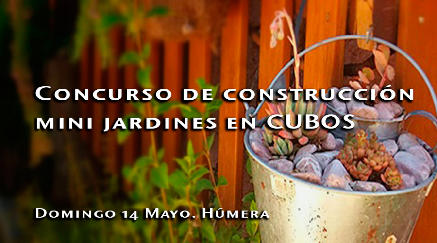 Concurso de construcción de mini-jardines en cubos