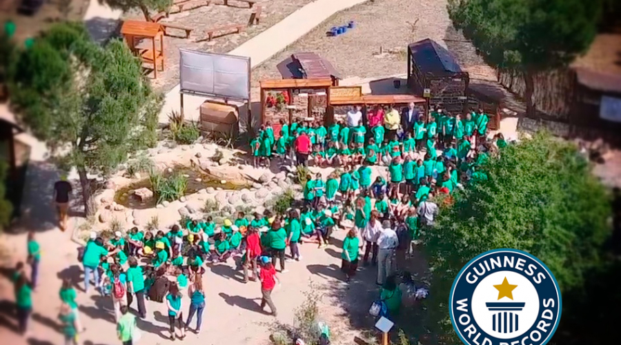 El gran Hotel de Insectos opta al Record Ginness.