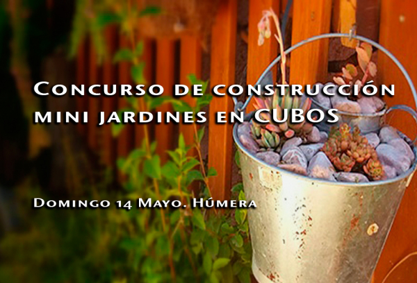 Concurso de construcción de mini-jardines en cubos