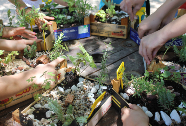 Aula de Educación Ambiental