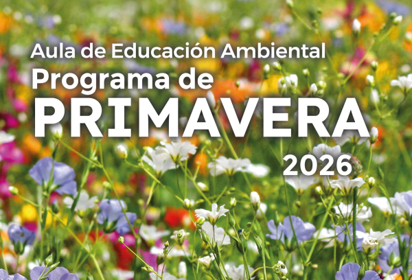 cartel aula en primavera